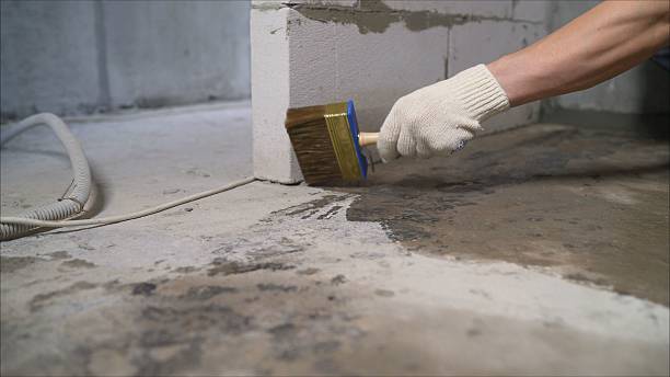 24/7 Emergency Wet Basement Repair experts in Woodbury, TN